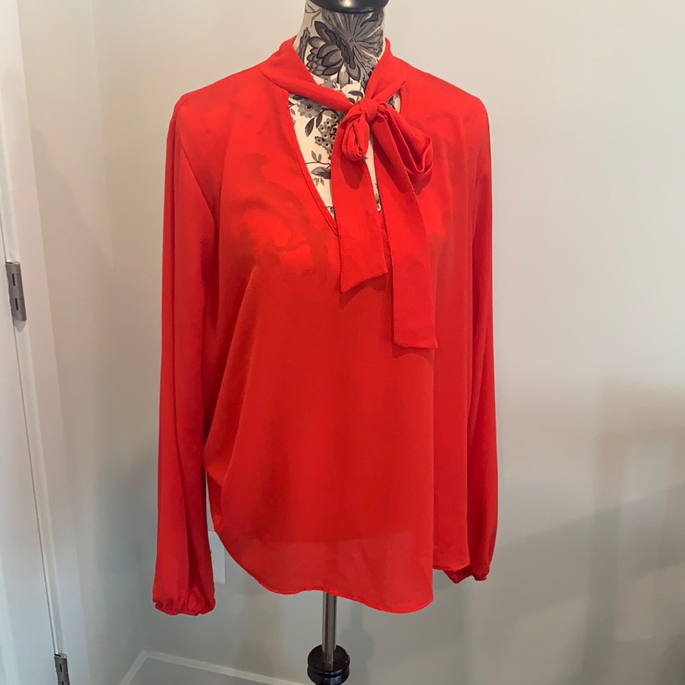 Red Blouse
